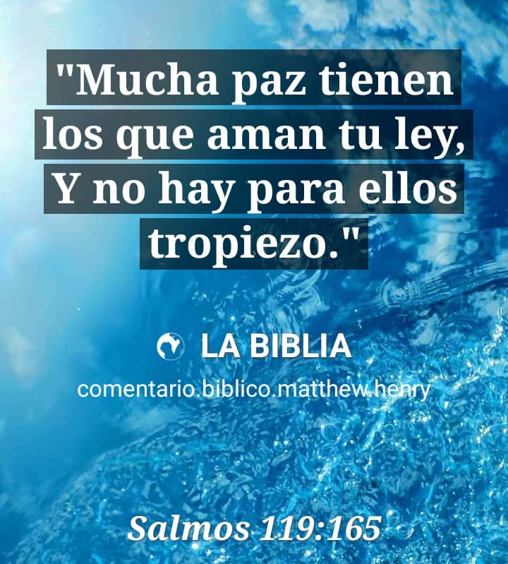 Filipenses 4
7 Y la paz de Dios, que sobrepasa todo entendimiento, guardará vuestros corazones y vuestros pensamientos en Cristo Jesús.