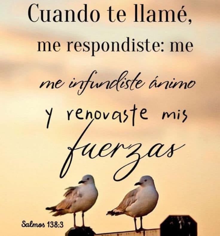 A pesar de nuestras infidelidades el Señor siempre está allí atento a nuestras necesidades y llamado, siempre responde, nunca nos abandona, nos espera con sus brazos abiertos dispuesto a darnos todo lo necesario y las fuerzas necesarias para seguir adelante y levantarnos una y todas las veces necesarias. DIOS les guarde 🙏🏼🙏🏼🙏🏼