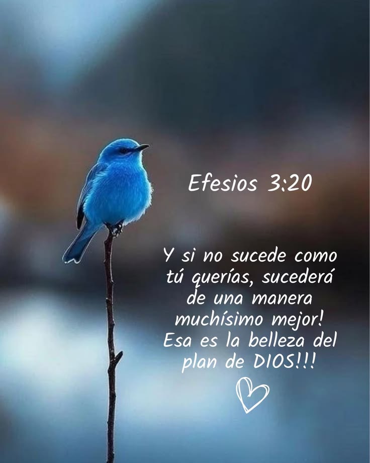 La manera como sean dadas mis peticiones siempre serán las mejores, tendrán un propósito buscando perfeccionar algo en nuera vida, esa es la voluntad del Señor, la que representa cambios, transformación, bendiciones y crecimiento, para ganar el reino de DIOS. Feliz día 🙏🏼🙏🏼🙏🏼