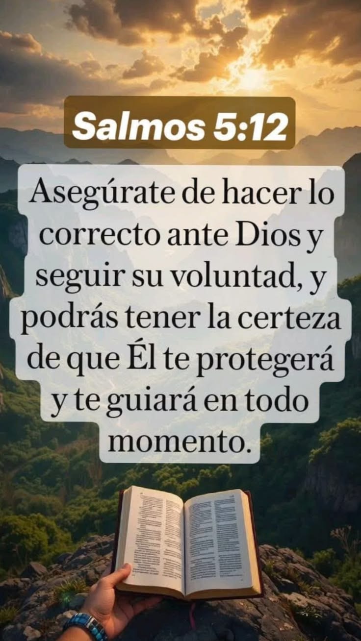 Existen lineamientos, principios y mandamientos, todos ellos reflejados en la Palabra de DIOS, la cual, es el manual de conducta del cristiano, donde nos instruimos y aprendemos que solo así podemos alcanzar la protección y su guía en todo momento. *La clave conocerlos vivirlos y aplicarlos.* Bendiciones de lo alto 🙏🏼🙏🏼🙏🏼