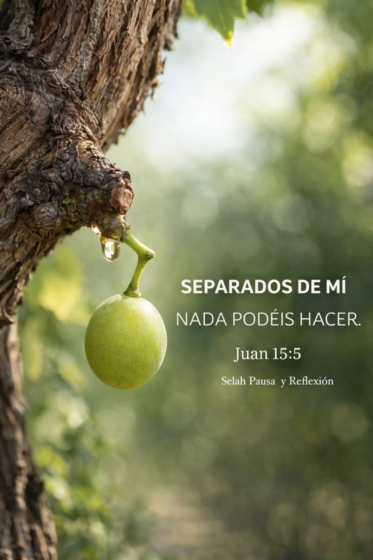 JESUS nuestro Salvador y amado hermano nos invita a estar unidos para hacer grandes cosas, entre ellas llevar su Palabra y mensaje de salvación donde el principal reflejo es el amor de DIOS. Bendiciones de lo alto 🙏🏼🙏🏼🙏🏼