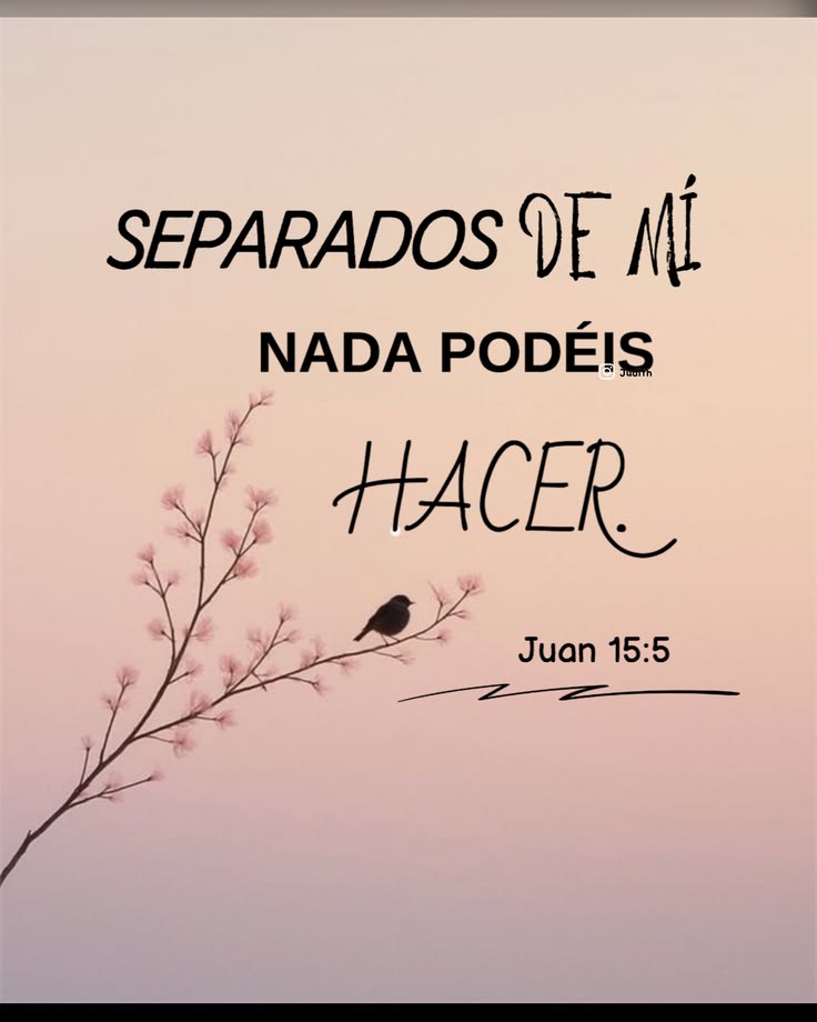Todo proyecto difícilmente se alcanza solo, JESUS dijo que EL no nos dejaría, por lo que, junto a EL y solo acompañados de su presencia lo podemos lograr. *Clave: buscar su presencia en todo momento orando y poniendo todo en sus manos para que haga su Santa Voluntad.* Feliz día 🙏🏼🙏🏼🙏🏼